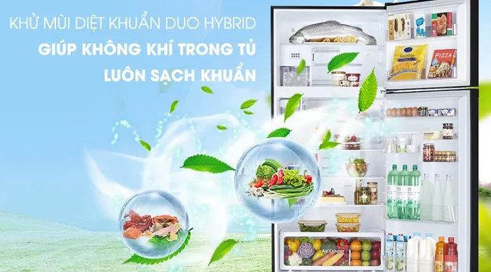 Diệt khuẩn loại bỏ mùi hôi hiệu quả 